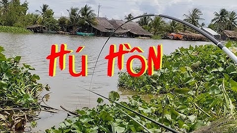 Câu cá tự nhiên/trúng bầy cá chim bự giật liên tục luôn