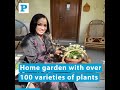 Home garden with over 100 varieties of plants