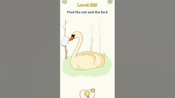 Dop 2 lvl 525 - Find the cat and the bird #dop2lovers #gameplay #dop2 #dop2highlights #gaming #games