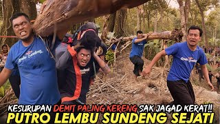 Download Lagu HOROR!! KESURUPAN DEMIT SAWOJAJAR OBRAK ABRIK KAMPUNG KEDUYO!! bantengan putro lembu sundeng sejati MP3 Download Lagu HOROR!! KESURUPAN DEMIT SAWOJAJAR OBRAK ABRIK KAMPUNG KEDUYO!! bantengan putro lembu sundeng sejati MP3