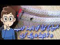 If anything electrical is damaged, check the wiring first بجلی کی چیز خراب ہو تو پہلے تار چیک کریں