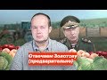 Отвечаем Золотову (предварительно)