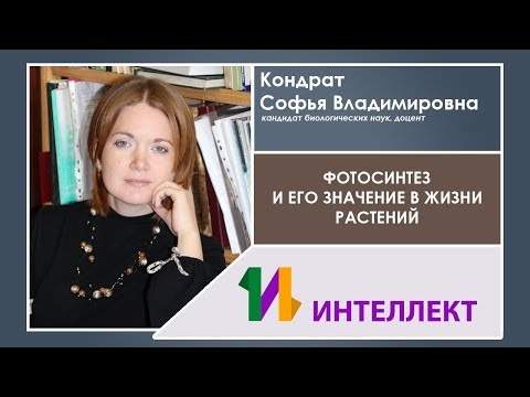 Видео: Почему p680 важен для фотосинтеза?