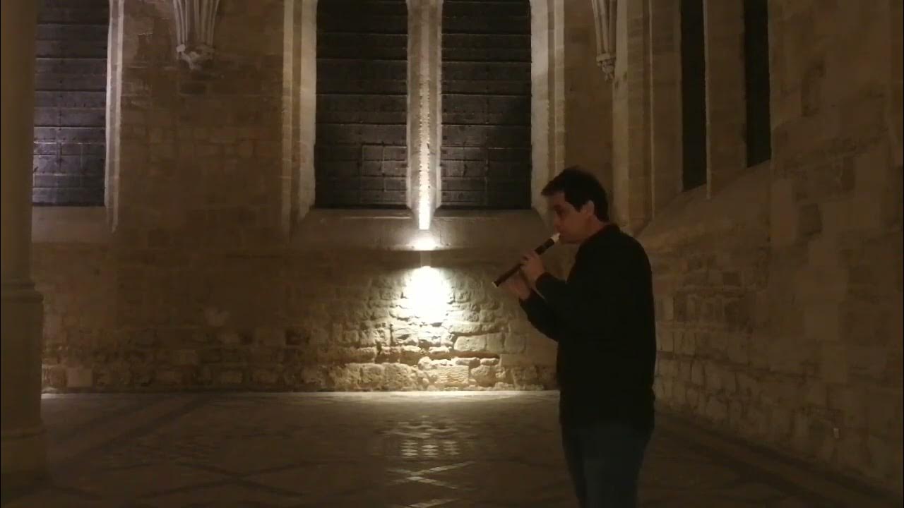 Brasileirinho Waldir Azevedo #choro #brasil #advanced #sopranorecorder #easy #learning #music #song Brasileirinho Waldir Azevedo #choro #brasil #advanced #sopranorecorder #easy #learning #music #song