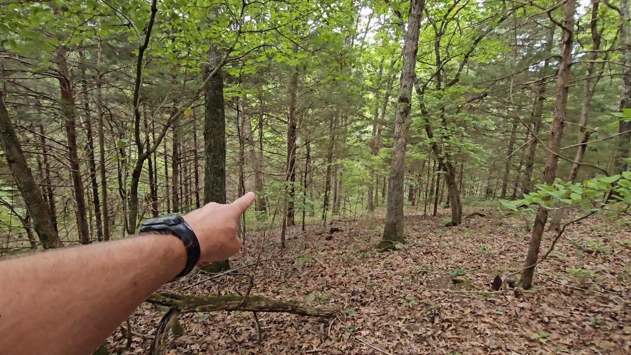 Would YOU log this Property? Exploring a Ridgetop, chat & Bonus find ...