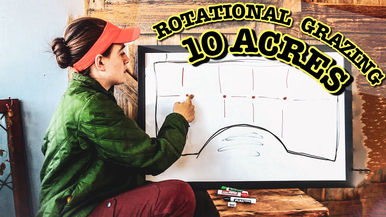 Система ротационного выпаса скота на 10 акров для зимы