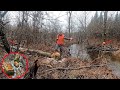 EXPLORING the AREA the BEAVERS are FLOODING on Our OFF-GRID Property You Won't Believe What I FOUND