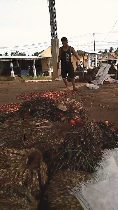 Aku bekerja keras bukan untuk menyingkirkan orang orang kaya.