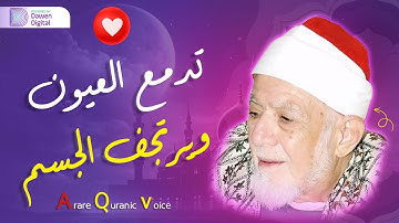 اجمل تلاوة للشيخ أحمد محمد عامر سورة الفتح خشوع يفوق الوصف 💜