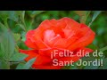 Feliz día de Sant Jordi - La Casa Ambar