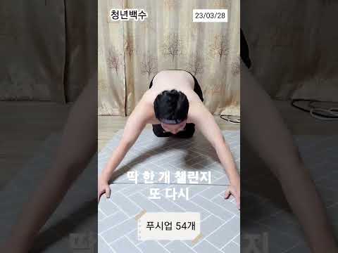 딱 한 개 챌린지 [54일차] #shorts #다이어트 #청년백수