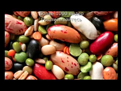 Самые частые заблуждения - Фасоль и соя.