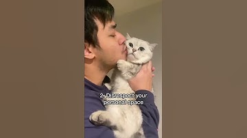 Red flags your hooman may be toxic part 1