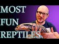 Top 5 Most Active, Most Fun To Watch Reptiles
