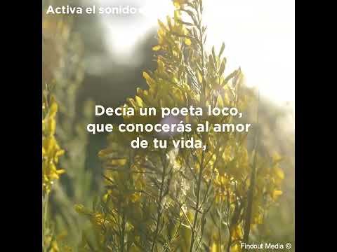 El amor de tu vida es...