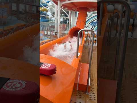 Y All S Internet Nephew Really Enjoyed Himself Utopiaoftheseas Cruiselife R RoyalCaribbean
