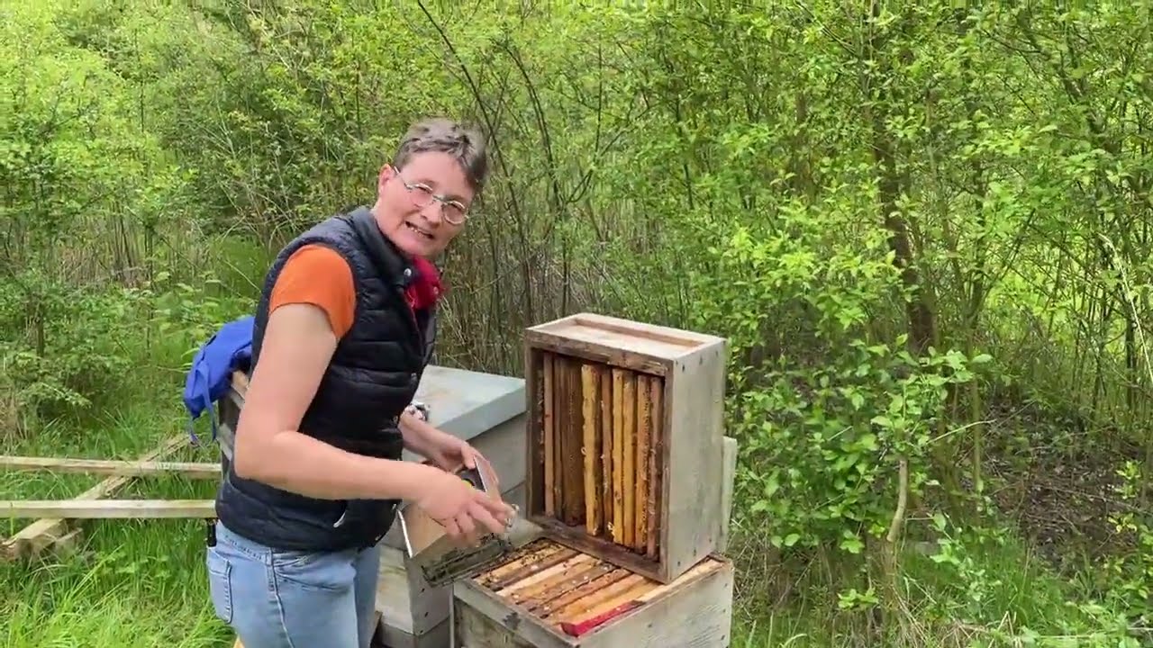 Lizzy Aumeier: Respekt vor Polizisten | dreizueins | BR Kabarett \u0026 Comedy