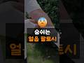 숨쉬는 얼음팔토시! 자외선도 차단하고 내피부 지켜봐요♡