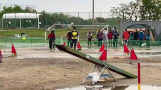 JKC アジリティー競技会 AG3