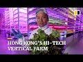 Inside Hong Kong’s hi-tech vertical farm of the future