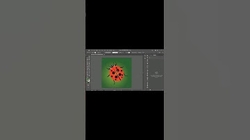 Draw a ladybug in adobeillustrator | tutorial in adobeillustrator