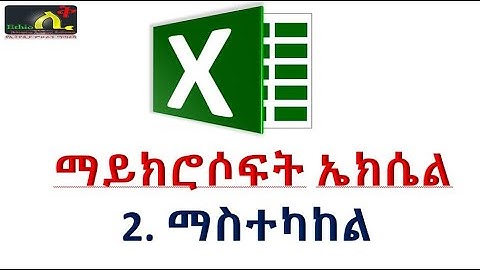 2  Microsoft Excel for Beginners - Basic Tutorial in Amharic Editing Fonts Alignments Ethio LiQ