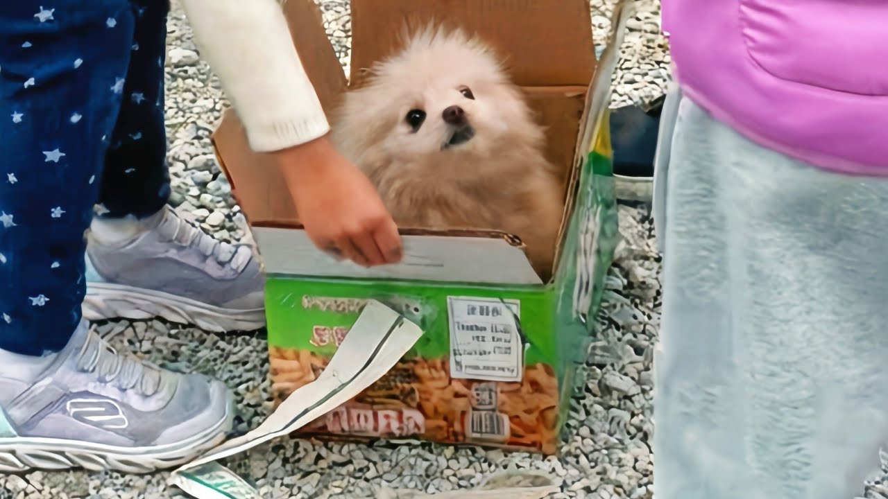 She could not believe that she was being rescued 