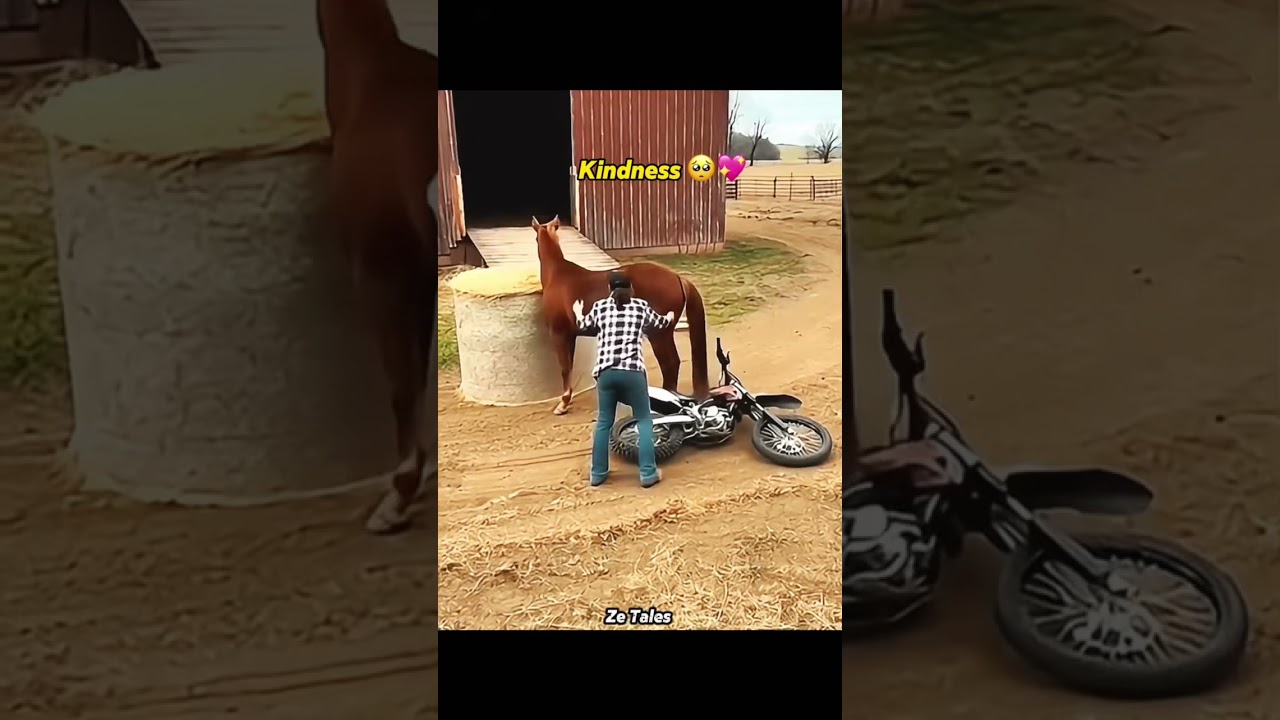 Unbelievable! This horse saved its owner&rsquo;s life at the last second!