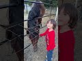 My stallion Tinto wants love 💕 #ranch #horse #horseriding #farmkids #farming #myanimal #fyp #viral