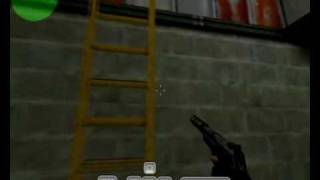 ladder bug.wmv