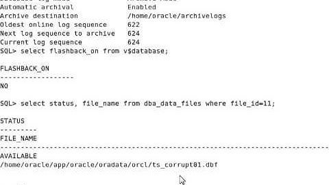 How to use Oracle