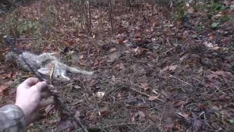 Fiberglass Snare Support for Coyote, Fox, Bobcat & Coon