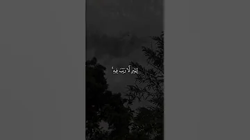 القارئ عبدالرحمن مسعد 