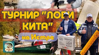картинка: Турнир 