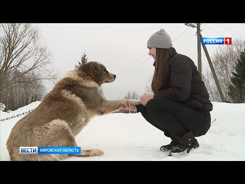 Жительница Кировской области, спасшая алабая из ловушки, стала номинантом международной премии