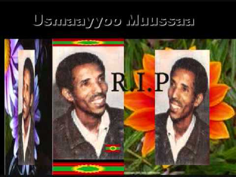 Sodaa By Usmayo Mussa