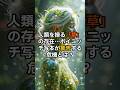 500年以上前から予言された2025年「ボイニッチ写本の謎」日本は安全地帯だった【 都市伝説 予言 ボイニッチ写本 日本 2025年 】