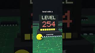 Do You Know Games 79 - Pacman 256