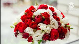 Ya Musthofa  Ustadzah Halimah Alaydrus  Hadroh Putri Situbondo   Versi Arab Latin U0026 Artinya