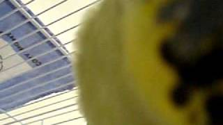20100814_121142.AVI