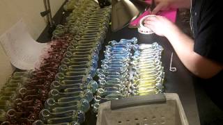 Daily Quality Control @ Chameleon