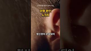 귀에서 삐소리, 이명의 원인 4가지 #이명