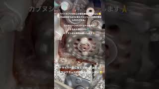 スーパーカブ110の異音。カムチェーンテンショナー交換かな
