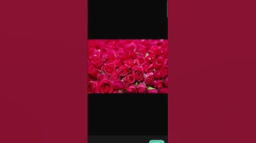 Text Animation in capcut tutorial #capcuttutorial #capcut #shorts