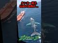 ヘリから120m超の巨大生物が激撮…#uma #未確認生命体 #未確認生物