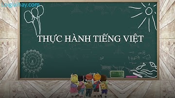 Soạn bài Thực hành tiếng việt trang 86 SGK Ngữ Văn 10 tập 1 Kết nối tri thức