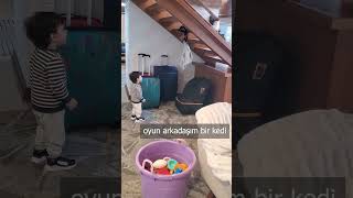 Oyun Arkadaşım Bir Kedi