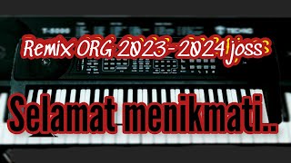 REMIX ORG 2023_2024 JOss