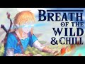 Breath of the Wild &amp; Chill