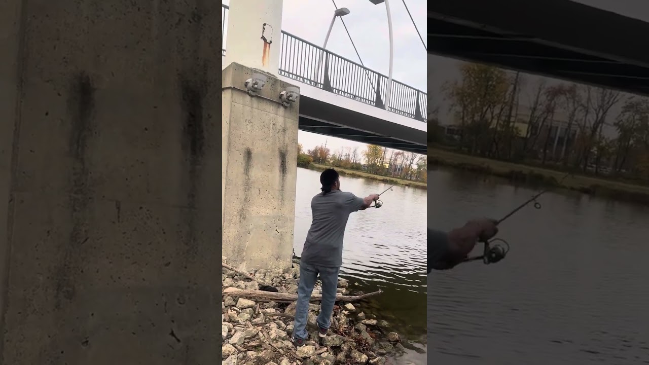 Bass Fishing Bridges #youtubeshorts #fishing #youtubeshorts 🦈🎣🙏🏾🔥🤞🏾💪🏾